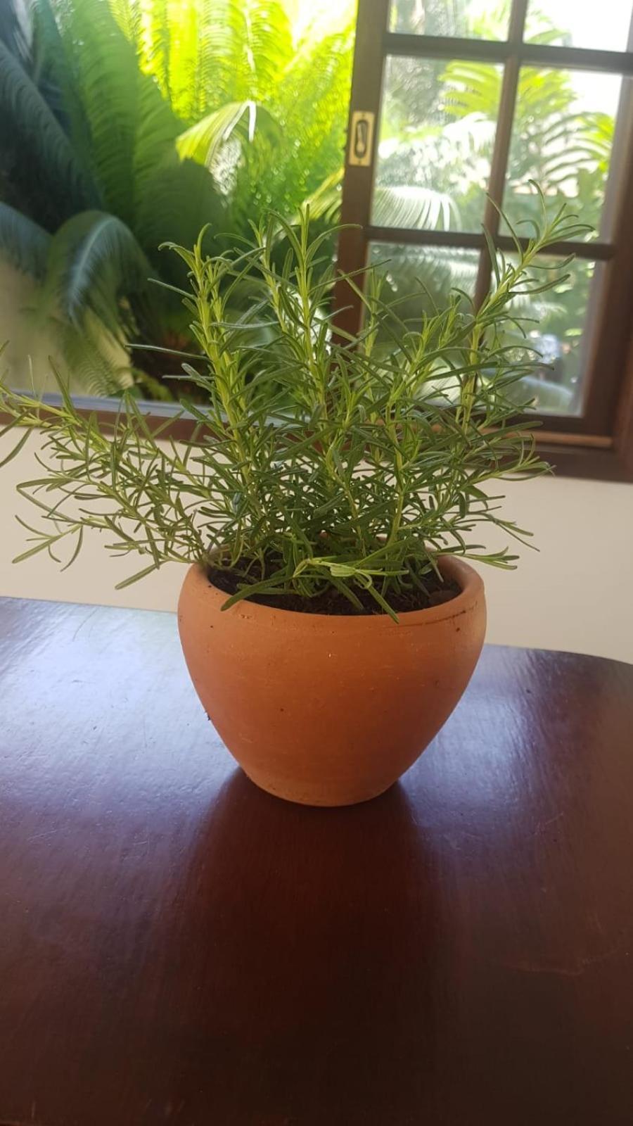 Pousada Ubatuba Itagua Εξωτερικό φωτογραφία